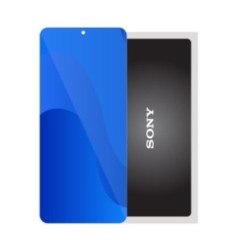 SmartGrade Pro™ - Display (No frame) for Sony Xperia Pro-I