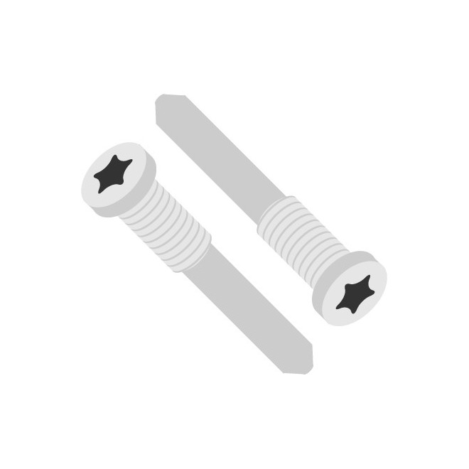 SmartGrade Pro™ - Bottom screw set (2 pcs) for iPhone 11/ 12/ 13 series - Silver