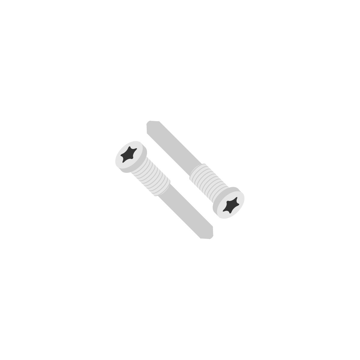 SmartGrade Pro™ - Bottom screw set (2 pcs) for iPhone 11/ 12/ 13 series - Silver